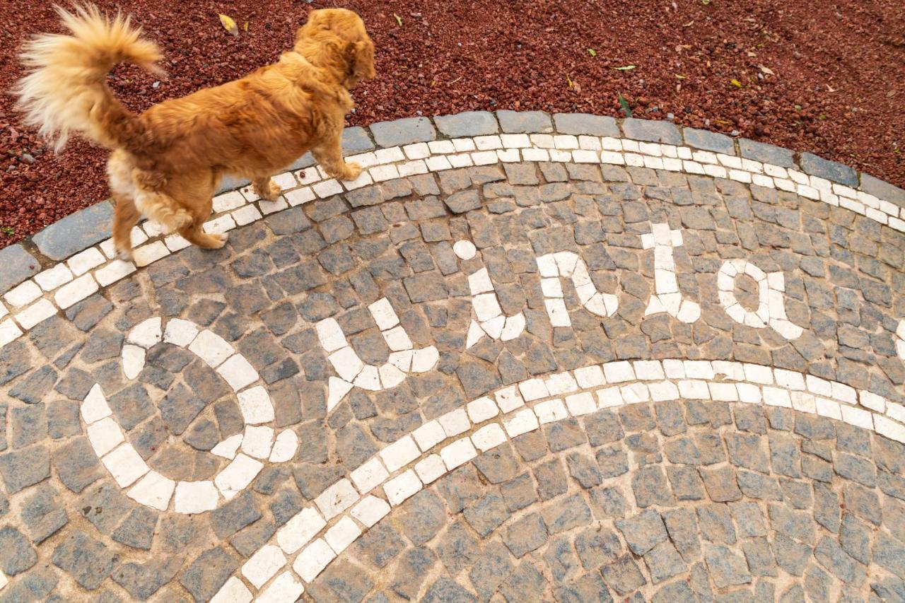 Quinta Do Paraizo Ribeira Grande Eksteriør bilde